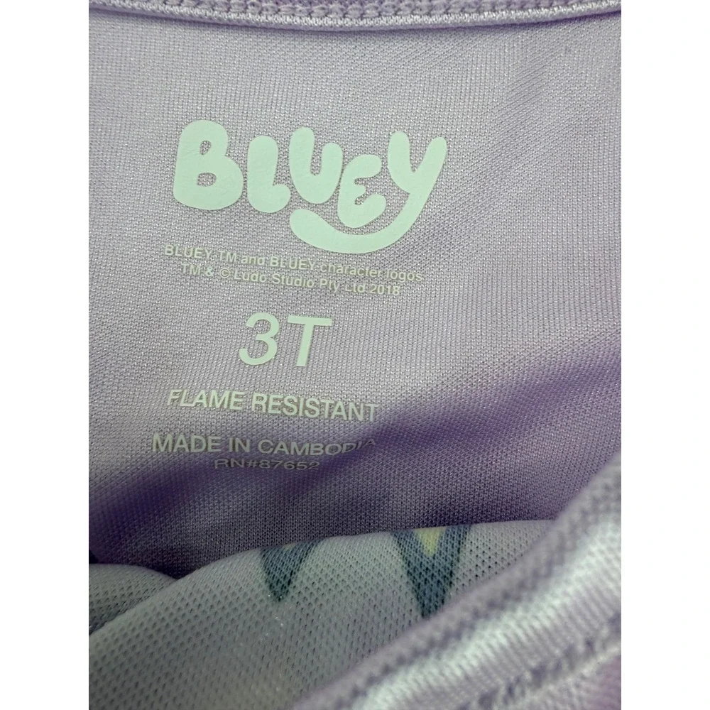 Bluey Bingo Girls Purple Nightgown Dress Mesh Overlay Daisy Floral Size 4T